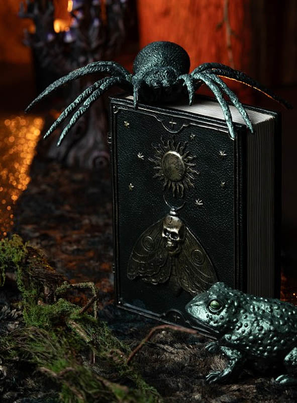 Ein dekoratives schwarzes Buch mit einem Motiv aus Sonne, Totenkopf und Motte wird von einer Halloween-Deko-Spinne gekrönt, deren riesiger Kunststoffkörper einen unheimlichen Charme versprüht, während die 23 cm große, grün schimmernde Halloween-Spinne daneben auf der moosbewachsenen Oberfläche sitzt.