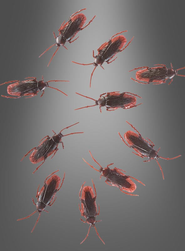 Zehn naturgetreue, rotbraune Insekten mit segmentierten Körpern und Fühlern – genau wie die aus dem Set „10 lebensgroße Kakerlaken Dekoration Halloween“ – sind kreisförmig auf einem grauen Hintergrund mit Farbverlauf angeordnet und eignen sich somit perfekt als gruselige Kakerlaken-Deko für Ihre Halloween-Tischdekoration.