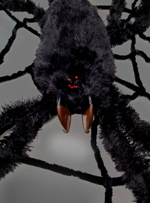 Eine Nahaufnahme der großen, schwarzen, pelzigen Spinne aus dem Set „Gigantisches Spinnennetz 240 cm mit Spinne“ mit roten Augen und markanten braunen Giftzähnen vor grauem Hintergrund – eine perfekte Spinnendekoration für Halloween.