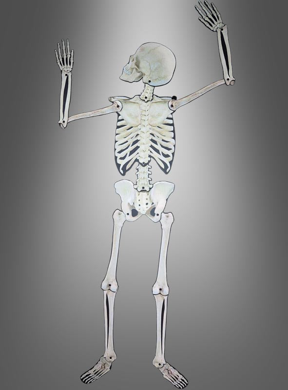Bewegliche Skelett-Wanddekoration, 158 cm hoch, aufrecht stehend mit beiden Armen erhoben, vor neutralem grauen Hintergrund – ideal als auffällige Skelett-Halloween-Wanddekoration oder stilvolle Skelett-Wanddekoration für deine nächste Halloween-Dekoration.