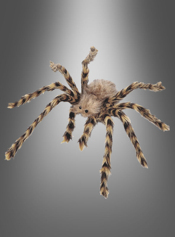 Eine naturgetreue, langhaarige Riesenspinne (64 cm, braun) mit braun-schwarz gestreiften Beinen, präsentiert vor einem grauen Farbverlaufshintergrund – ideal als Spinnendekoration für Ihre nächste Halloween-Dekoration.