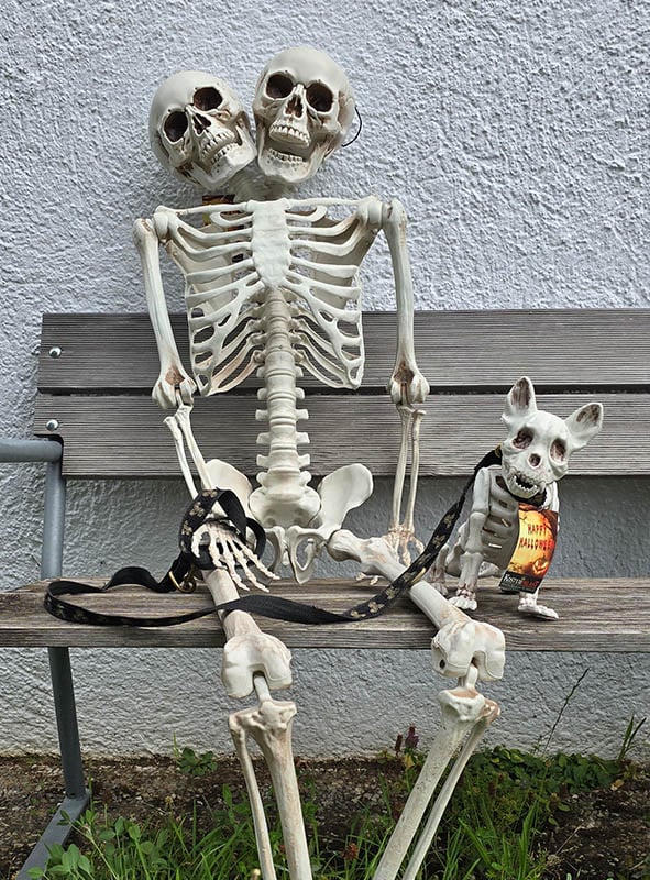 Ein lebensgroßes Menschenskelett (153 cm) mit zwei Köpfen sitzt auf einer Bank neben einer kleinen Hundeskelettfigur mit einem „Happy Halloween“-Anhänger – eine originelle Halloween-Dekoration für ein gruselig-schönes Ambiente.