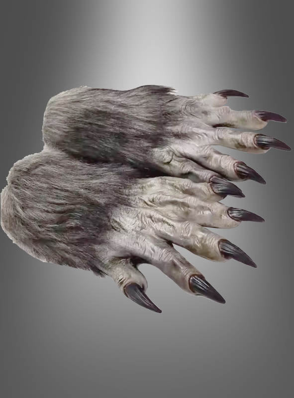 Vor einem neutralen Farbverlaufshintergrund sind zwei graue, pelzige Hände mit langen, dunklen Krallen zu sehen – perfekt, um dein Halloween-Kostüm mit den hochwertigen Werwolf-Krallen-Handschuhen zu vervollständigen, die für realistische Werwolfhände oder furchterregende Krallen sorgen.