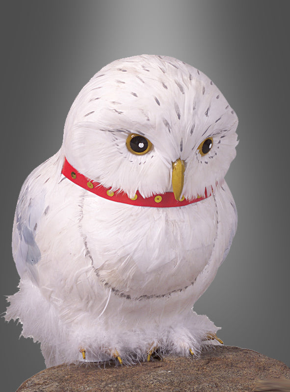 Eine weiße Eule mit schwarzen Flecken sitzt auf einem Felsen und trägt ein rotes Halsband mit goldenen Akzenten vor einem grauen Hintergrund mit Farbverlauf – ideal als „Weiße Eule Hedwig Deko Schneeeule“ für jeden Harry-Potter-Eulen-Fan.