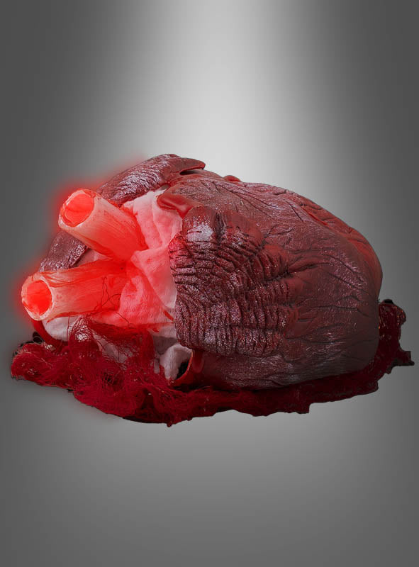 Ein realistisches anatomisches Modell eines menschlichen Herzens, „Das pochende Herz mit Licht & Sound“ (21 cm), ist vor einem grauen Farbverlauf zu sehen und zeigt große Blutgefäße sowie detaillierte Strukturen – perfekt als gruselige Tischdekoration oder als pochendes Herz als Halloween-Dekoration für Ihre nächste Party.