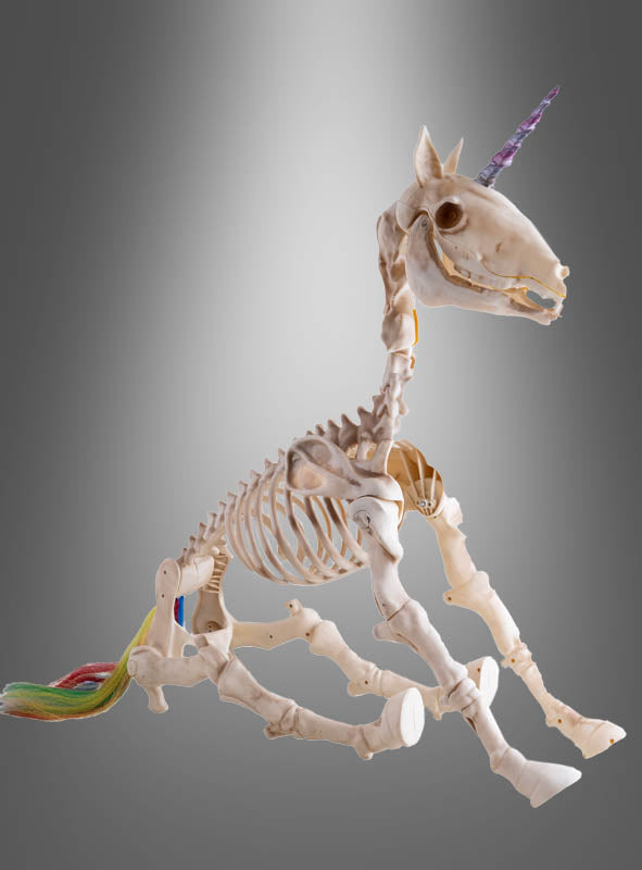 Ein 60 cm großes „Einhorn-Skelett mit Ton und Licht“ mit einem violetten Horn und einem bunten Schwanz wird vor einem grauen Hintergrund mit Farbverlauf präsentiert und ist damit eine einzigartige, magische Dekoration für jeden Raum.