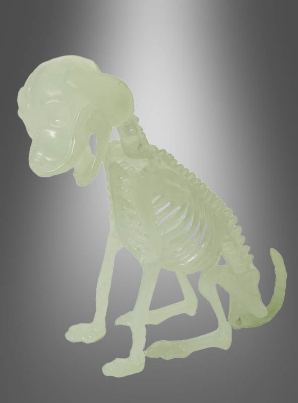 Das „Skeletttiere Halloween nachtleuchtend“ ist ein im Dunkeln leuchtendes Spielzeugskelett eines Hundes, das auf einem neutralen grauen Hintergrund abgebildet ist. Diese gruselige Halloween-Dekoration verleiht Ihren Feierlichkeiten eine lustige und unheimliche Note, da sie im Dunkeln leuchtet, sobald das Licht ausgeht.