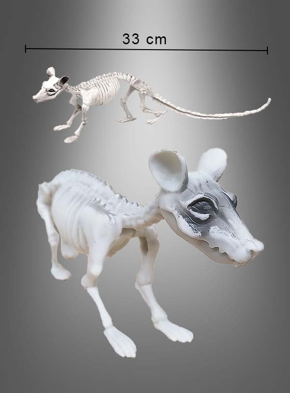Skelettratte 33 cm, Halloween-Dekoration, aus zwei Blickwinkeln vor einem grauen Farbverlaufshintergrund abgebildet – die perfekte Wahl für gruselige Dekorationen und Halloween-Deko.