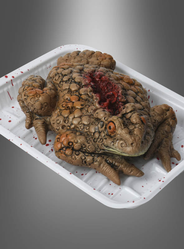 Ein naturgetreues Modell einer toten Kröte mit einer blutigen Wunde wird auf einer weißen Schaumstoffunterlage vor einem grauen Farbverlaufshintergrund präsentiert – ideal als „Blutige Zombie-Tiere“-Halloween-Tischdeko oder um Ihrer Halloween-Tischdekoration eine besonders gruselige Note zu verleihen.