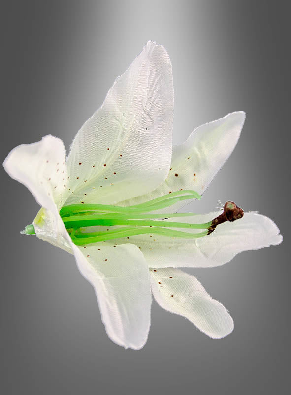 Eine Nahaufnahme eines 6er-Packs künstlicher Lilienblüten (13 cm) in Weiß mit grünen Staubblättern und braunen Punkten, präsentiert vor einem sanften grauen Farbverlauf – ideal als Dekoration für eine Hawaii-Party oder für beeindruckende Lilienarrangements.