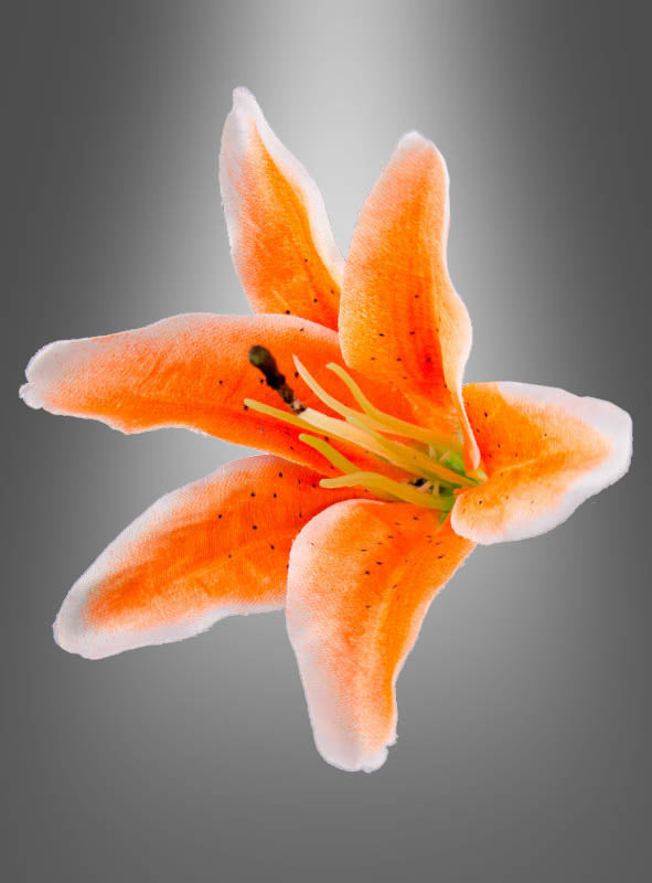 Eine leuchtend orangefarbene Lilienblüte mit fünf Blütenblättern und sichtbaren Staubblättern hebt sich von einem grau verlaufenden Hintergrund ab und fängt so die lebendige Ausstrahlung des 6er-Packs künstlicher Lilienblüten (13 cm) ein. Diese eleganten Kunstblumen eignen sich ideal als Dekoration für eine Hawaii-Party oder in Kombination mit künstlichen Orchideen und verleihen jeder Einrichtung einen tropischen Touch.