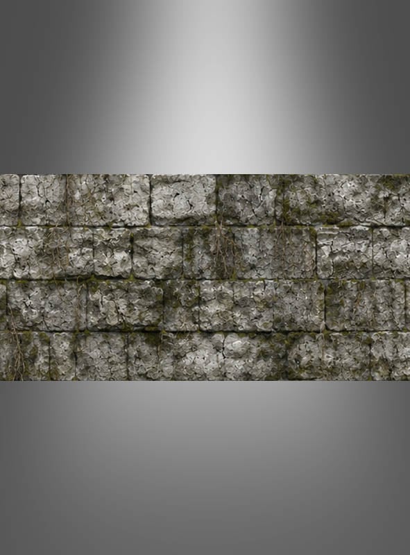 Ein Abschnitt einer alten Steinmauer mit sichtbaren Rissen und spärlicher, vertrockneter Vegetation vor einem grauen Hintergrund mit Farbverlauf – ideal als „Steinmauer-Wanddekoration aus Stoff 80 x 400 cm“, um Ihrer Halloween-Dekoration ein authentisches mittelalterliches Flair zu verleihen, oder als einzigartiges „Stoffbanner Mittelalter“.