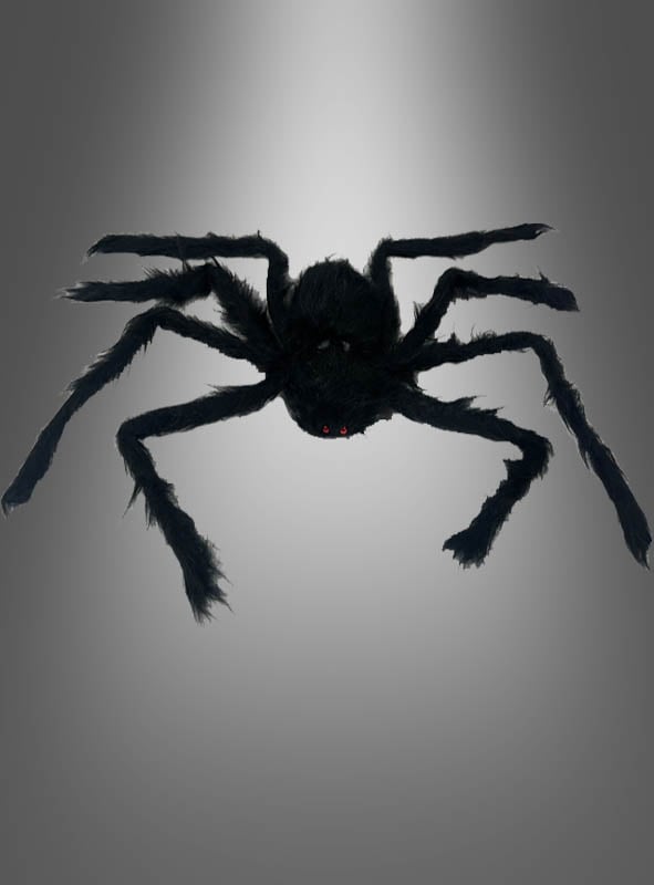 Eine schwarze, pelzige Spinne (30–90 cm) als Halloween-Dekoration mit roten Augen und acht Beinen vor einem grauen Hintergrund mit Farbverlauf – perfekt für gruselige Dekorationen.