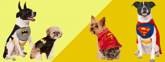 Vier Hunde sitzen vor einem gelben Hintergrund und tragen Batman- und Superman-Kostüme, wobei zwei von ihnen Batman-Kostüme und zwei Superman-Kostüme tragen.