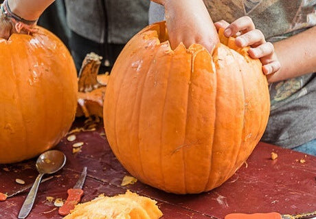 Kürbisse: schaurige und lustige Fratzen an Halloween