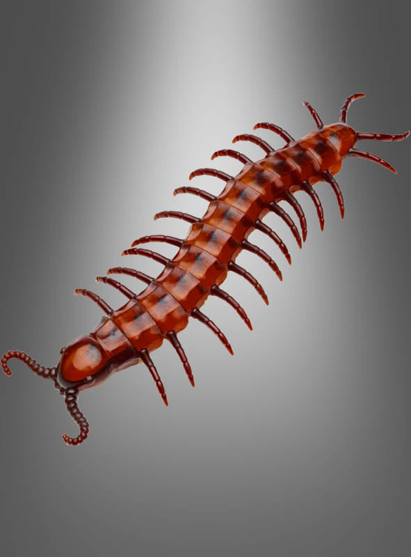 Ein riesiger Tausendfüßler (45 cm) mit einem braunen, segmentierten Körper und zahlreichen Beinen wird vor einem grauen Hintergrund mit Farbverlauf dargestellt – perfekt für Ihre nächste Halloween-Dekoration.