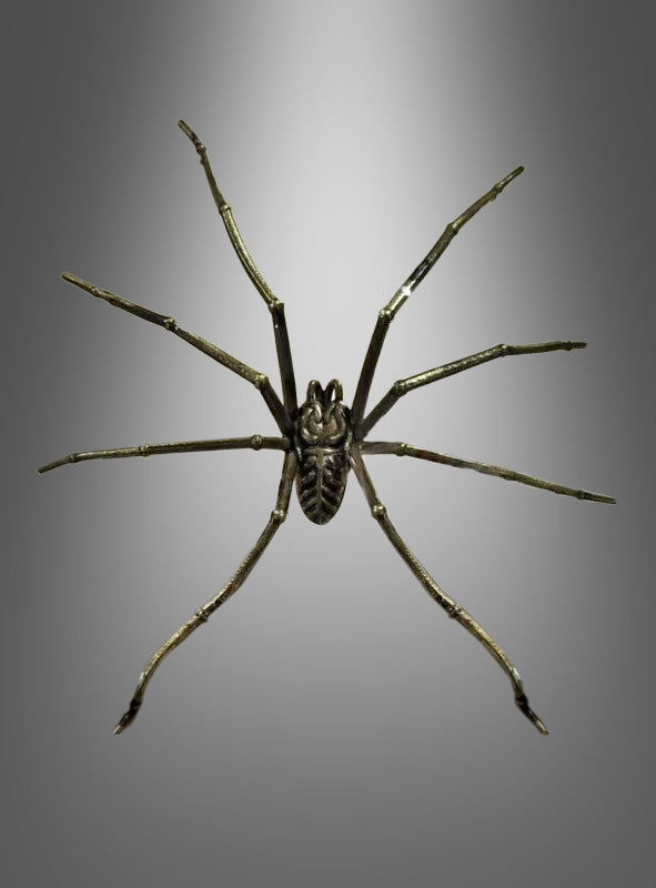 Eine Spinne mit langen, dünnen Beinen ist auf einem grauen Hintergrund mit Farbverlauf zentriert und von oben betrachtet – was den faszinierenden Reiz des „Riesiger Spinnen Ohrring Stecker aus Metall“ vermittelt und ihn zum perfekten Gothic-Accessoire für alle macht, die auf der Suche nach einzigartigem Halloween-Schmuck sind.