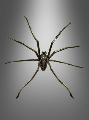 Eine Spinne mit langen, dünnen Beinen ist auf einem grauen Hintergrund mit Farbverlauf zentriert und von oben betrachtet – was den faszinierenden Reiz des „Riesiger Spinnen Ohrring Stecker aus Metall“ vermittelt und ihn zum perfekten Gothic-Accessoire für alle macht, die auf der Suche nach einzigartigem Halloween-Schmuck sind.