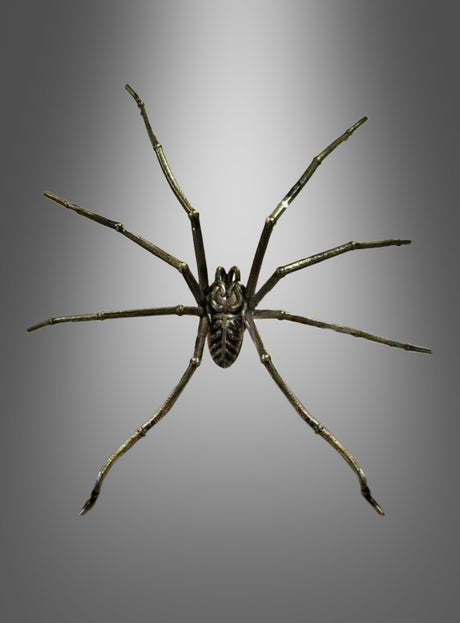 Eine Spinne mit langen, dünnen Beinen ist auf einem grauen Hintergrund mit Farbverlauf zentriert und von oben betrachtet – was den faszinierenden Reiz des „Riesiger Spinnen Ohrring Stecker aus Metall“ vermittelt und ihn zum perfekten Gothic-Accessoire für alle macht, die auf der Suche nach einzigartigem Halloween-Schmuck sind.