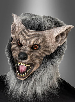 Eine Person, die die „Werwolf“-Latexmaske mit Kunstfell trägt, die sich durch graues Fell, spitze Ohren, scharfe Zähne und ein offenes Maul auszeichnet, vor einem neutralen Hintergrund mit Farbverlauf.