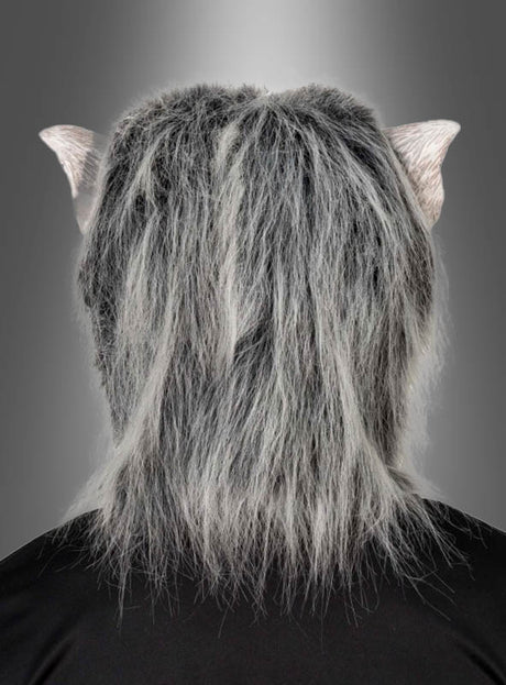 Eine Person, die die Werwolf-Latexmaske mit Kunstfell trägt – mit grauem Kunstfell und spitzen Ohren –, von hinten vor einem grau verlaufenden Hintergrund fotografiert – eine beeindruckende Maske, die perfekt zu jedem Werwolf-Kostüm passt.