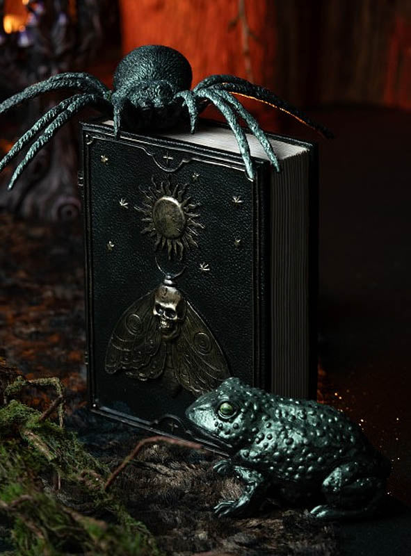 Ein schwarzes Buch, verziert mit einem Motiv aus Motte, Totenkopf und Sonne, wird von einer metallischen Spinne gekrönt und auf der Vorderseite durch die „Grüner Frosch Kröte Deko 7,5 cm“ ergänzt – alles angeordnet auf einer dunklen, strukturierten Oberfläche. Der perfekte Akzent für auffällige Halloween-Dekorationen oder einzigartige Frosch-Dekorationen.