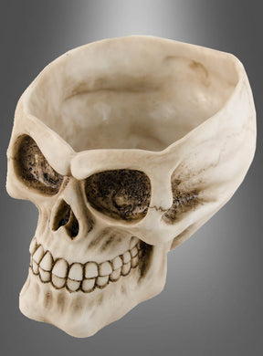 Eine Schale in Form eines menschlichen Schädels mit detailgetreuen Zähnen und hohlen Augenhöhlen, gefertigt aus Kunstharz, vor einem grau verlaufenden Hintergrund – die perfekte Totenkopf-Schale aus Kunstharz für Ihre Halloween-Deko oder als Blickfang bei Ihrer Halloween-Dekoration.
