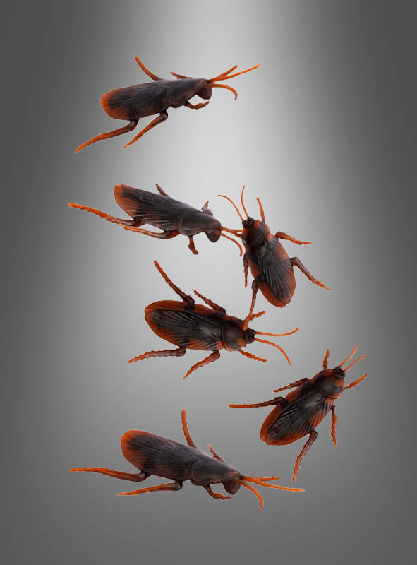 Sechs Kakerlaken mit rötlichen Beinen und Fühlern sind vor einem grauen Hintergrund mit Farbverlauf abgebildet und blicken in verschiedene Richtungen. Das „Kakerlaken Halloween-Deko 6er-Pack“ ist die ideale Wahl für Ihre Halloween-Dekoration und verleiht Ihren gruseligen Dekorationen einen realistischen und unheimlichen Effekt.