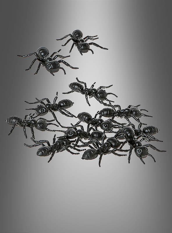 Ein Set aus 12 „Riesige Ameisen“ (5 cm) als Tischdekoration, perfekt für Halloween, ist auf einem glatten, grau abgestuften Hintergrund angeordnet, wobei einige Ameisen von der Hauptgruppe abgesetzt sind – ein idealer, gruseliger Akzent für die Halloween-Tischdekoration.