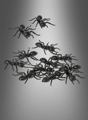 Ein Set aus 12 „Riesige Ameisen“ (5 cm) als Tischdekoration, perfekt für Halloween, ist auf einem glatten, grau abgestuften Hintergrund angeordnet, wobei einige Ameisen von der Hauptgruppe abgesetzt sind – ein idealer, gruseliger Akzent für die Halloween-Tischdekoration.