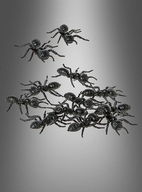 Ein Set aus 12 „Riesige Ameisen“ (5 cm) als Tischdekoration, perfekt für Halloween, ist auf einem glatten, grau abgestuften Hintergrund angeordnet, wobei einige Ameisen von der Hauptgruppe abgesetzt sind – ein idealer, gruseliger Akzent für die Halloween-Tischdekoration.