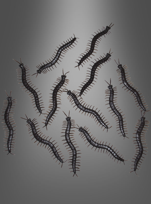 Ein Set aus 12 „Tausendfüßler“-Figuren (13 cm) als Halloween-Tischdekoration in dunklen Farben ist auf einem neutralen grauen Hintergrund angeordnet, wobei jede Figur in eine andere Richtung blickt – ideal als gruselige Deko für Ihren Halloween-Tisch oder als einzigartiges Accessoire, um auf Ihrer Halloween-Party eine gespenstische Atmosphäre zu schaffen.
