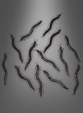 Ein Set aus 12 „Tausendfüßler“-Figuren (13 cm) als Halloween-Tischdekoration in dunklen Farben ist auf einem neutralen grauen Hintergrund angeordnet, wobei jede Figur in eine andere Richtung blickt – ideal als gruselige Deko für Ihren Halloween-Tisch oder als einzigartiges Accessoire, um auf Ihrer Halloween-Party eine gespenstische Atmosphäre zu schaffen.