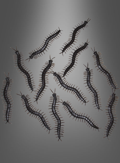Ein Set aus 12 „Tausendfüßler“-Figuren (13 cm) als Halloween-Tischdekoration in dunklen Farben ist auf einem neutralen grauen Hintergrund angeordnet, wobei jede Figur in eine andere Richtung blickt – ideal als gruselige Deko für Ihren Halloween-Tisch oder als einzigartiges Accessoire, um auf Ihrer Halloween-Party eine gespenstische Atmosphäre zu schaffen.
