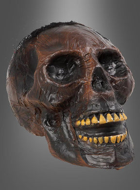 Ein naturgetreuer, lebensgroßer „Verrotteter Totenkopf“-Schädel in Brauntönen mit gelben Zähnen und leuchtenden LED-Augen wird vor einem neutralen grauen Hintergrund präsentiert und eignet sich somit ideal als Halloween-Dekoration.