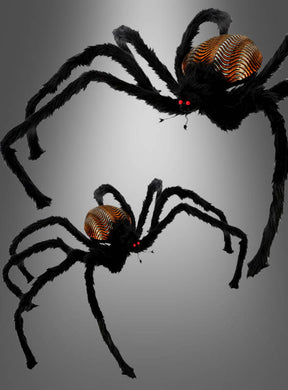 Zwei schwarze Spinnen mit orange gestreiften Hinterleibern und leuchtend roten Augen vor grauem Hintergrund – perfekt als gruselige Halloween-Dekoration oder als auffällige „Riesige Dekospinne 130 cm mit leuchtendem Körper“ für Ihre Geisterhaus-Inszenierung.