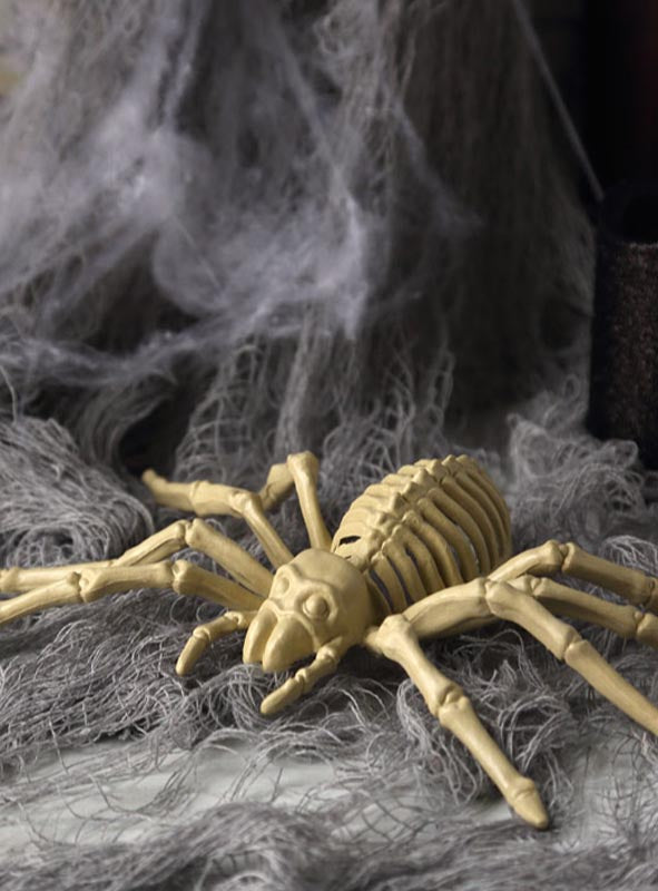 Die „Skelett-Spinne“ (24 cm) als Halloween-Dekorationsrequisite ruht auf einem grauen, spinnennetzartigen Stoff und verleiht Ihrer Halloween-Dekoration einen unheimlichen Touch, während weitere Spinnen-Dekorationen und Spinnennetz-Akzente die gruselige Kulisse abrunden.