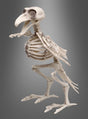 Vor einem grauen Hintergrund mit Farbverlauf steht der „Skelett Vogel Rabe“ (19 cm) mit übertriebenen Details eines Vogelskeletts – perfekt als auffällige „Skelett Vogel“-Dekoration oder als Blickfang für Halloween. Dieses dekorative Raben-Skelett verleiht jeder gruseligen Kulisse eine unheimliche, skurrile Note.