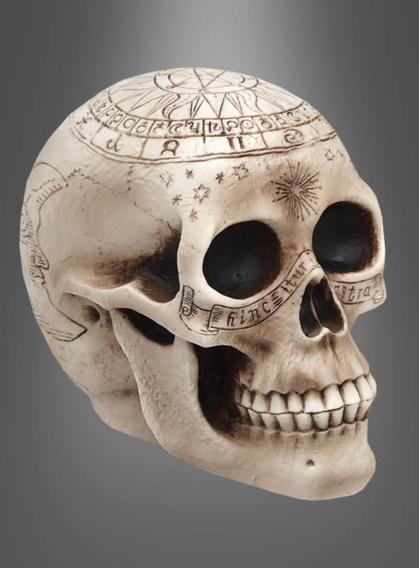 Ein Totenkopf mit magischen Symbolen, auf dessen Oberfläche astrologische Zeichen und Gravuren eingearbeitet sind, präsentiert sich vor einem sanften Grauverlauf – ein auffälliger Gothic-Totenkopf, ideal als Halloween-Dekoration oder für Sammler mystischer Schädelobjekte.
