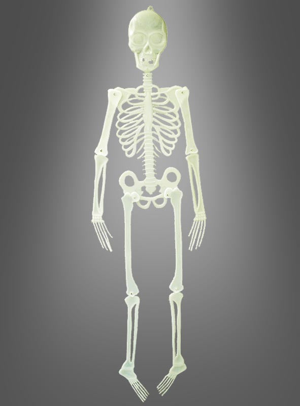 Ein nachtleuchtendes Skelett (150 cm) als Dekoration, aufrecht vor einem grau abgestuften Hintergrund präsentiert – ideal, um auf deiner nächsten Halloween-Party eine gruselige Atmosphäre zu schaffen.