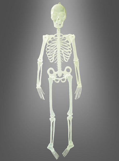 Ein nachtleuchtendes Skelett (150 cm) als Dekoration, aufrecht vor einem grau abgestuften Hintergrund präsentiert – ideal, um auf deiner nächsten Halloween-Party eine gruselige Atmosphäre zu schaffen.