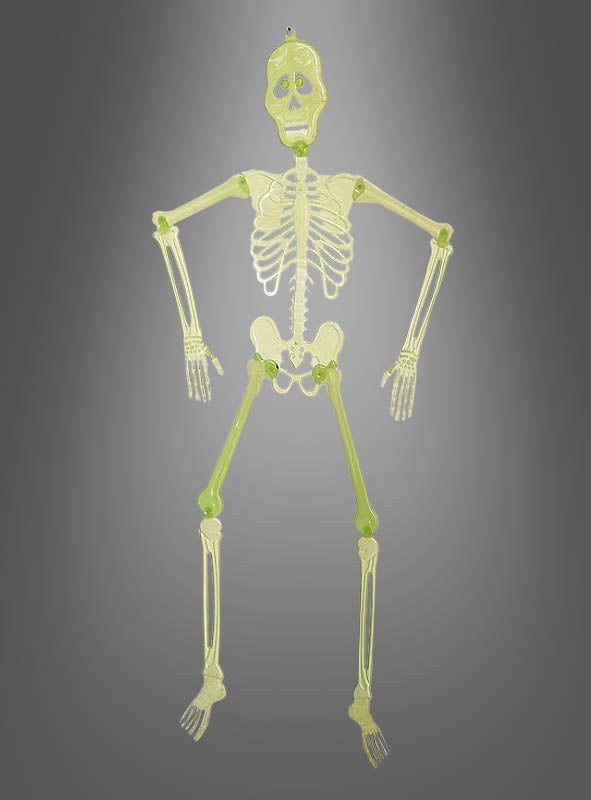 Nachtleuchtendes Skelett, 90 cm, Halloween-Dekoration zum Aufhängen – eine originelle Skelett-Dekoration vor einem grauen Hintergrund mit Farbverlauf – perfekt als auffällige Halloween-Dekoration.
