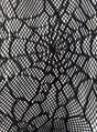 Nahaufnahme eines schwarzen Spitzenstoffs mit einem aufwendigen floralen und geometrischen Muster sowie feinen Netzdetails, inspiriert von der Netzstrumpfhose mit Spinnennetz-Muster – ideal, um jedem Halloween-Kostüm einen geheimnisvollen Touch zu verleihen oder als modische Hexenstrumpfhose zu tragen.