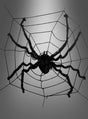 Eine Nahaufnahme des „Gigantischen Spinnennetzes 240 cm mit Spinne“ – einer großen schwarzen Spinne in ihrem Netz vor einem grauen Hintergrund mit Farbverlauf – sorgt für eine gruselige Halloween-Spinnendekoration, die sich perfekt für jede Umgebung eignet.