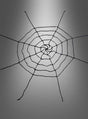 Verleihen Sie Ihrer Halloween-Dekoration mit dem „Elastisches 250 cm Spinnennetz schwarz“ eine ganz neue Note – ein eindrucksvolles schwarzes Spinnennetz mit unregelmäßigen kreisförmigen und geraden Linien auf einem grauen Hintergrund mit Farbverlauf. Dieses riesige, elastische Spinnennetz eignet sich perfekt, um eine gruselige Atmosphäre zu schaffen, und verleiht jeder saisonalen Dekoration einen auffälligen Akzent.