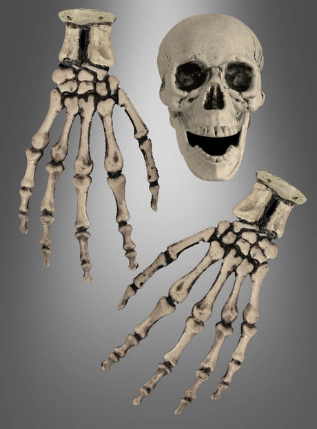 Das „Skelett Hände und Totenkopf Schädel“-Set, bestehend aus einem menschlichen Schädel und zwei Skeletthänden, wird vor einem grauen Hintergrund mit Farbverlauf präsentiert und verleiht jeder Halloween-Dekoration eine unheimliche und authentische Note.