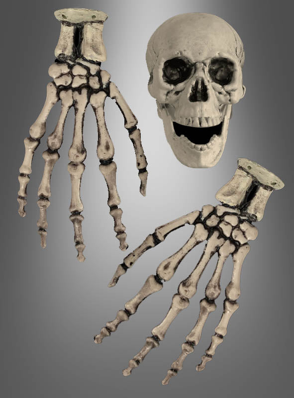 Das „Skelett Hände und Totenkopf Schädel“-Set, bestehend aus einem menschlichen Schädel und zwei Skeletthänden, wird vor einem grauen Hintergrund mit Farbverlauf präsentiert und verleiht jeder Halloween-Dekoration eine unheimliche und authentische Note.