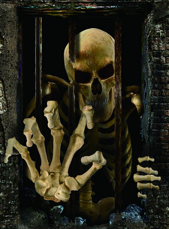Der Halloween-Vorhang „Gefangenes Skelett“ (80 x 120 cm) zeigt eine Skelettfigur, die hinter Metallgittern vor einem dunklen, steinartigen Hintergrund gefangen ist und mit einer Hand nach vorne greift – eine gruselige Halloween-Dekoration, die für die perfekte, schaurige Atmosphäre sorgt.