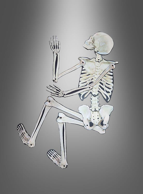 Eine „Bewegliche Skelett-Wanddekoration 158 cm“ ist auf der Seite liegend dargestellt, mit erhobenen Armen und angewinkelten Knien vor einem grauen Hintergrund mit Farbverlauf – perfekt, um als Teil Ihrer Halloween-Dekoration eine gruselige Atmosphäre zu schaffen.
