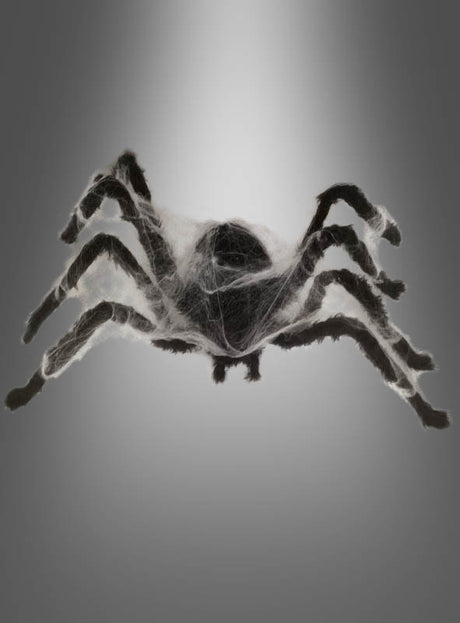 Eine 80 cm große Riesenspinne in Schwarz, die mit weißen Spinnweben drapiert ist, wird vor einem grauen Hintergrund präsentiert, wobei ihr Körper und ihre Beine durch Licht hervorgehoben werden – damit eignet sie sich ideal als Halloween-Dekoration oder als animierter Riesenspinnen-Tischschmuck.